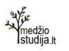 MEDŽIO STUDIJA