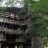 Didžiausias pasaulyje medžio namelis